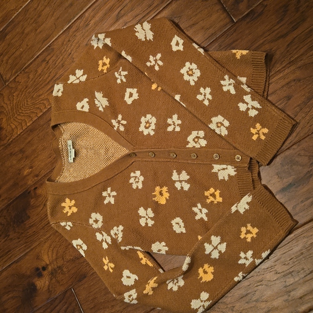 American Eagle Cardigan Sweater